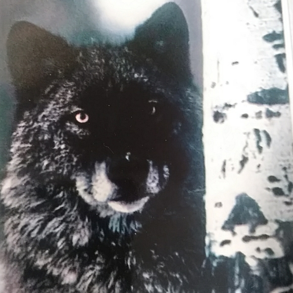 Meet your Posher, Vanessa - Picture 8 of 8